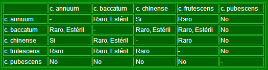 tabla de cruces