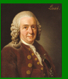 Carl Nilsson Linnaeus